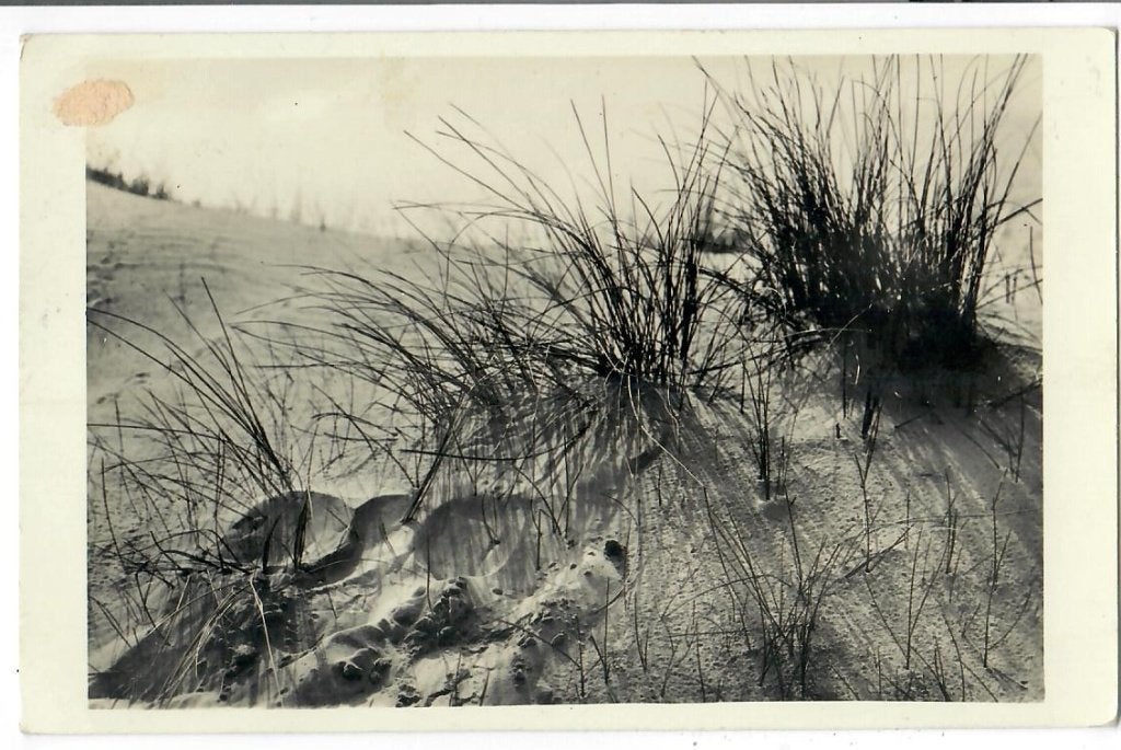 Texel - "Duinhelm", Verzenden, 1920 tot 1940, Gelopen, Waddeneilanden