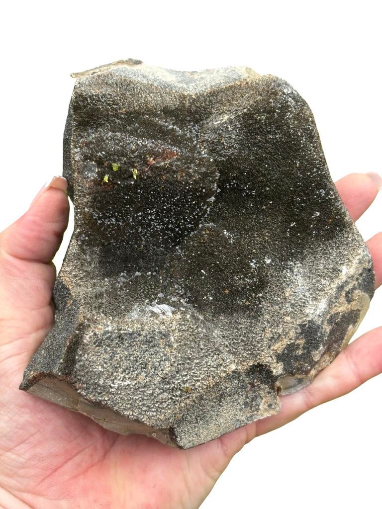 Grote Septarie Knol - 1233 gram - Uniek exemplaar, Verzamelen, Mineralen en Fossielen, Ophalen of Verzenden, Mineraal