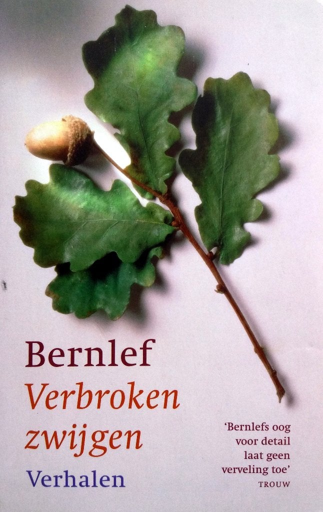 J. Bernlef - Verbroken zwijgen (Ex.5), Ophalen of Verzenden, Gelezen, Nederland