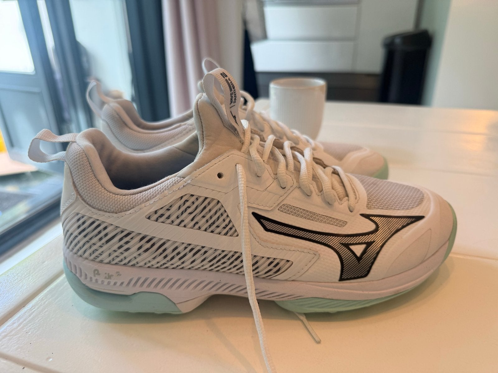 Foto 3 van Mizuno Pantera 2 sportschoenen maat 42 zo goed als nieuw
