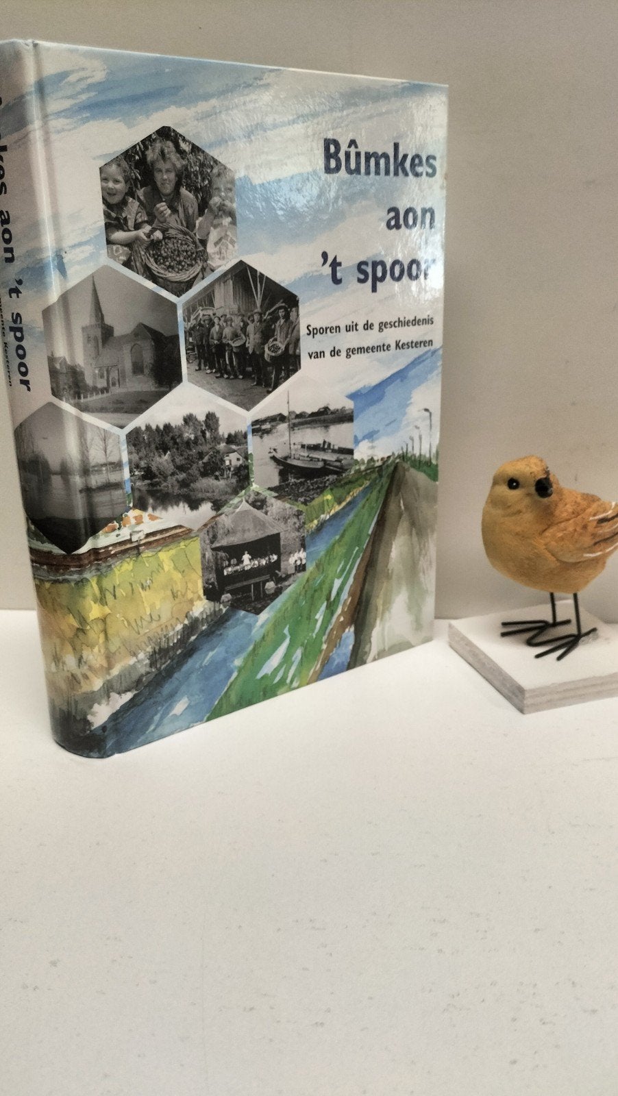 Roodbeen; R.; Bumkes aon ‘t spoor, Ophalen of Verzenden, Gelezen
