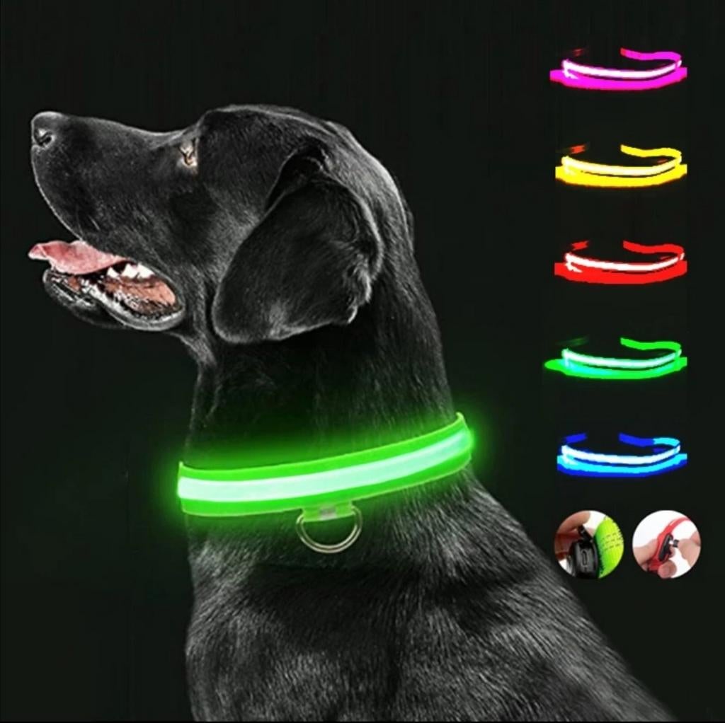 LED-halsbanden voor honden, Ophalen of Verzenden, Nieuw