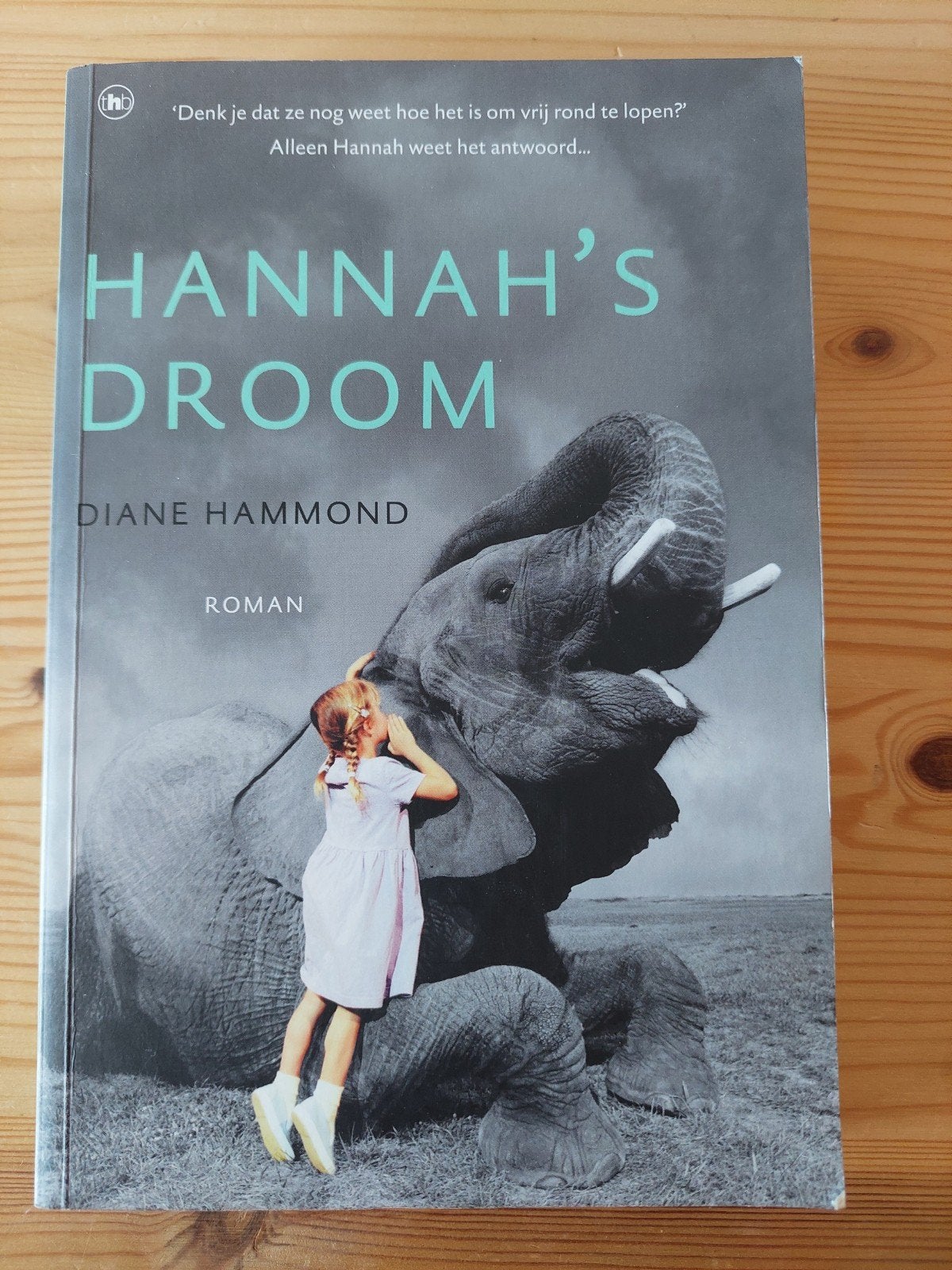 Hannah's droom - Diane Hammond, Ophalen of Verzenden, Zo goed als nieuw, Diane Hammond, Wereld overig