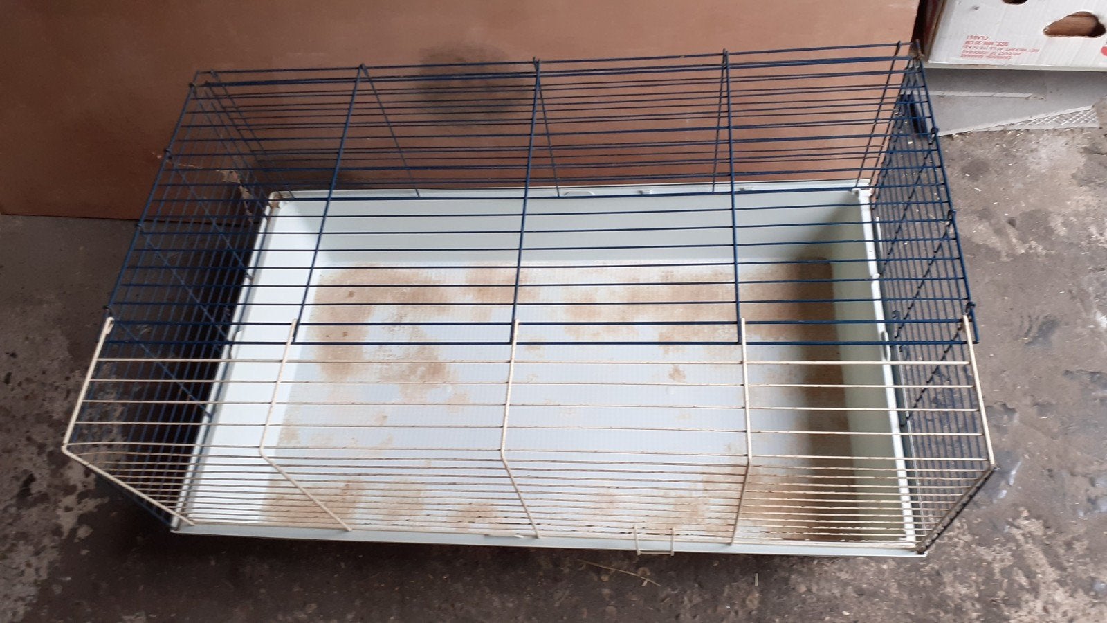 Caviahok 95 cm, Ophalen, 75 tot 110 cm, Kooi, Minder dan 60 cm