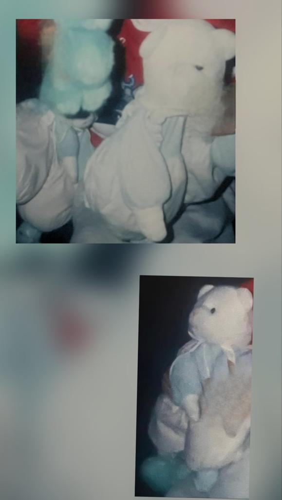 Gezocht...deze knuffel lichtblauw wit, Kinderen en Baby's, Speelgoed | Knuffels en Pluche, Ophalen of Verzenden, Overige typen