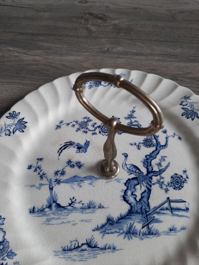 MYOTT-FINE STAFFORDSHIRE WARE-EXOTIC BIRDS plate, Gebruikt, Overige merken, Ophalen of Verzenden, Schaal of Schalen