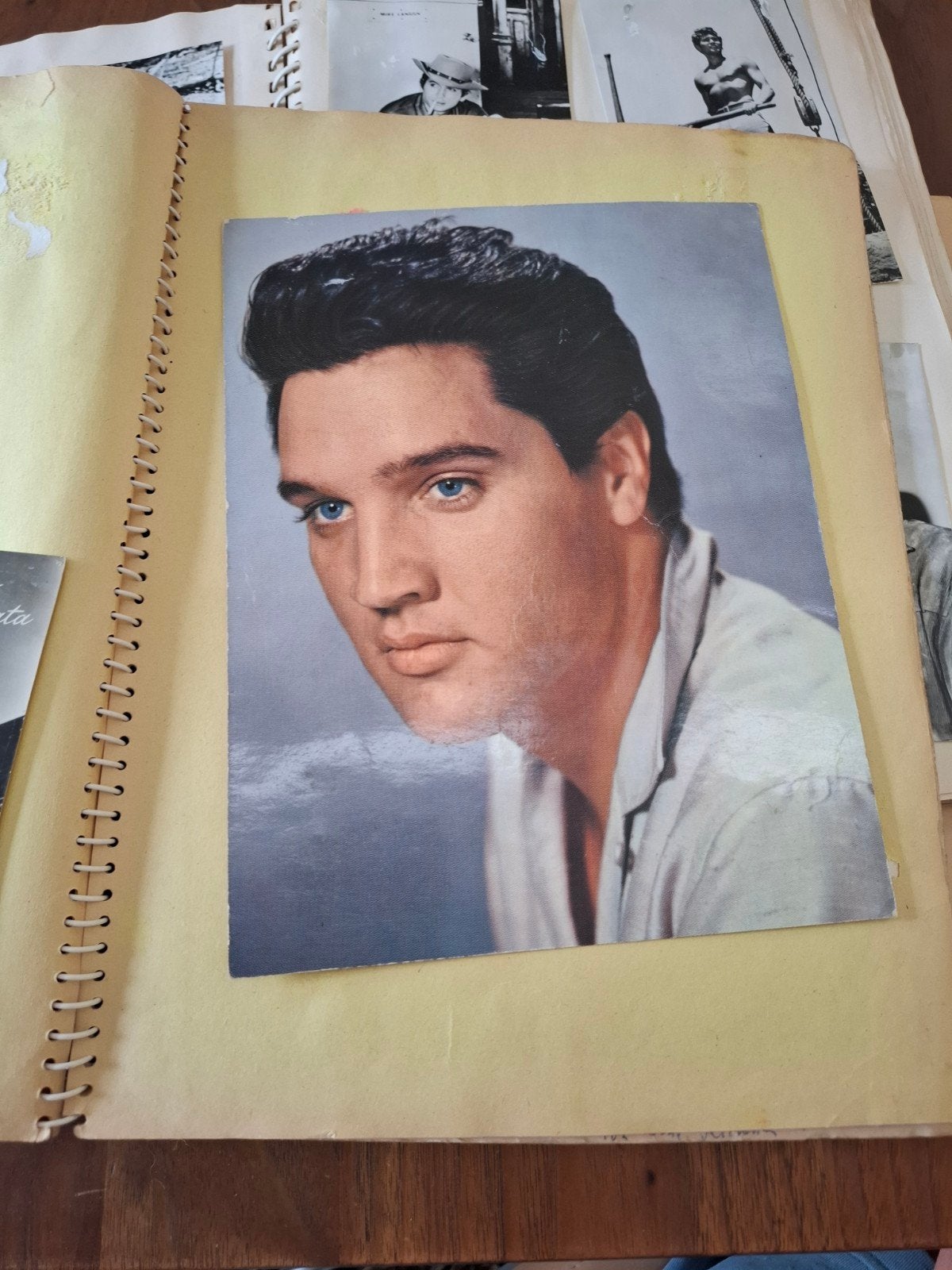 Vintage fotoalbum met beroemdheden uit de jaren '50 en '60, Gebruikt, Foto, Ophalen of Verzenden, 1940 tot 1960