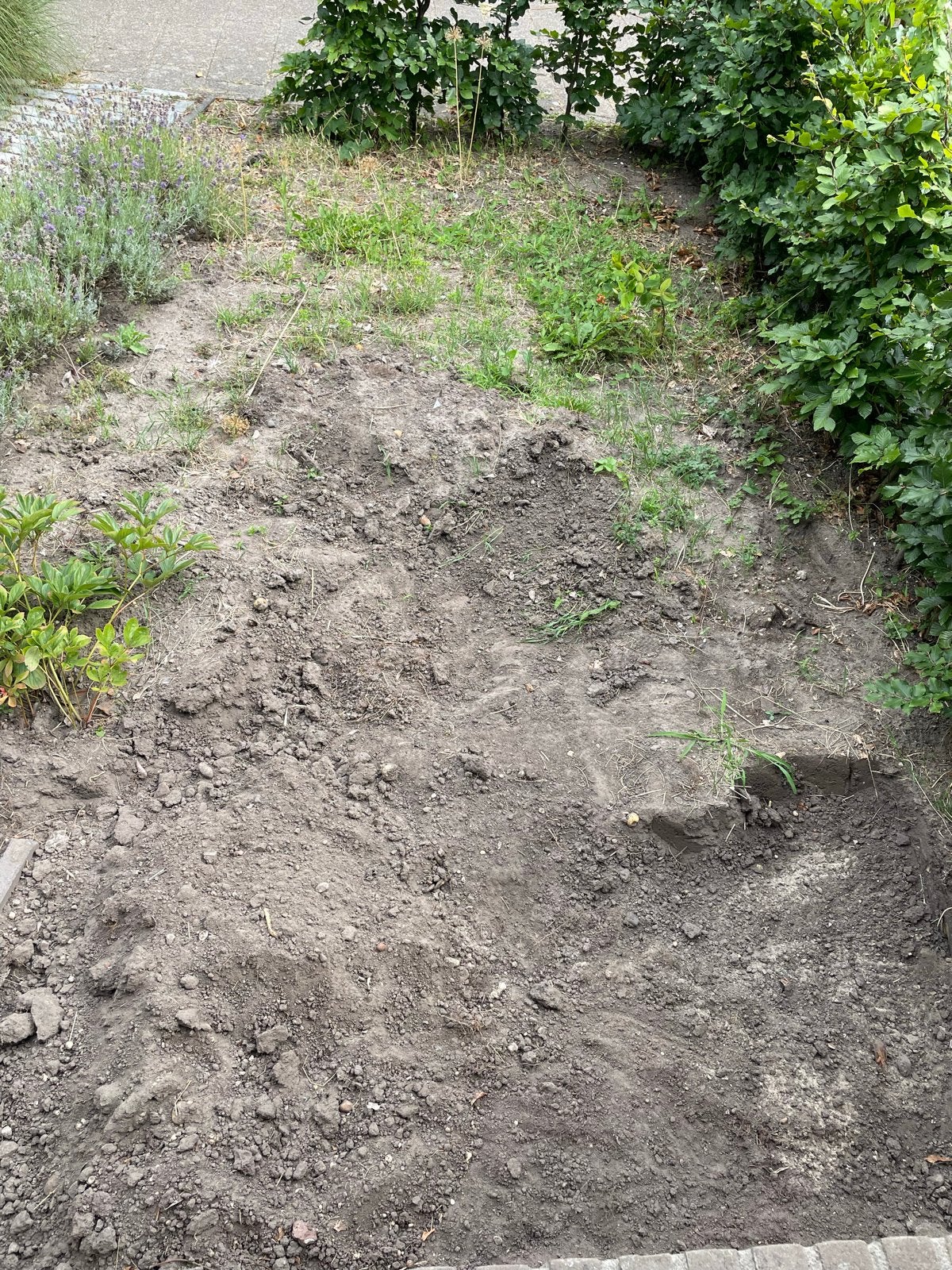 Gratis Tuinaarde Afhalen, Tuin en Terras, Zand, Gebruikt, Overige typen, Ophalen