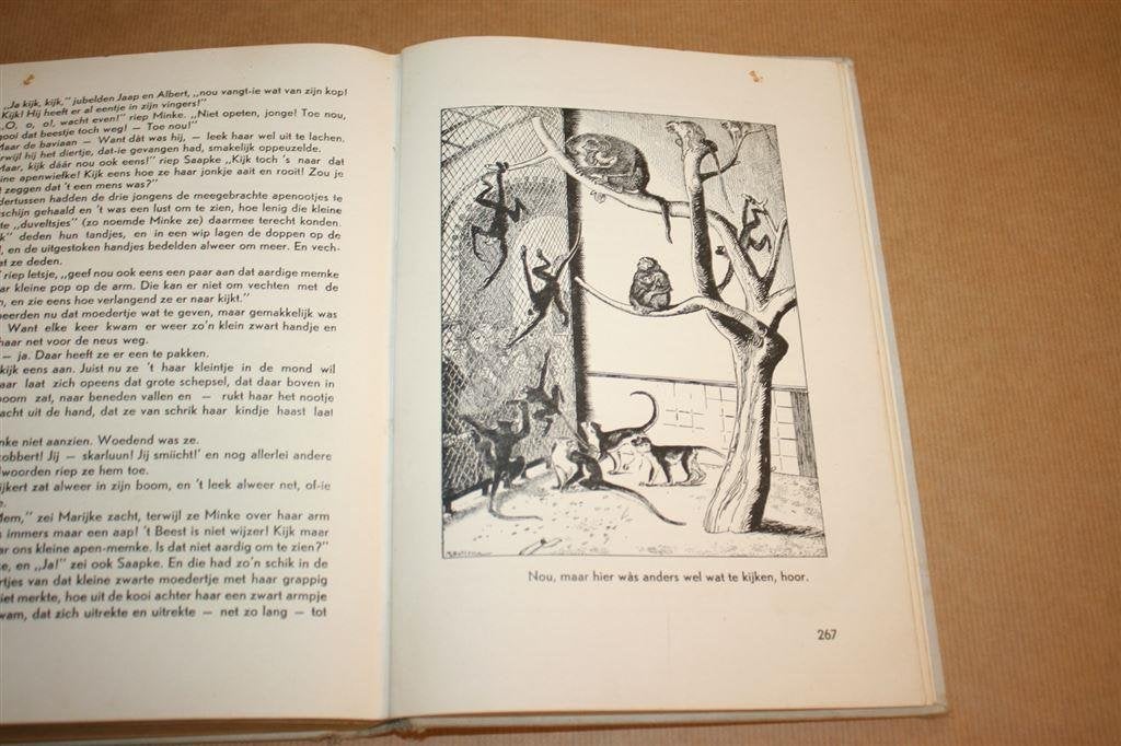 Schimmels voor de koets - N. van Hichtum, T. Bottema - 1951, Ophalen of Verzenden, Gelezen