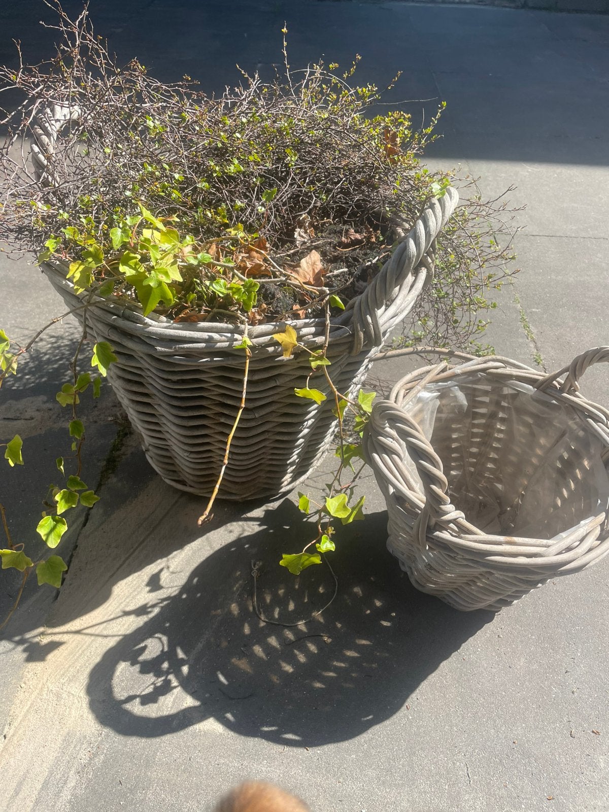 2 rieten manden/ potten, Tuin en Terras, Bloempotten, Ophalen