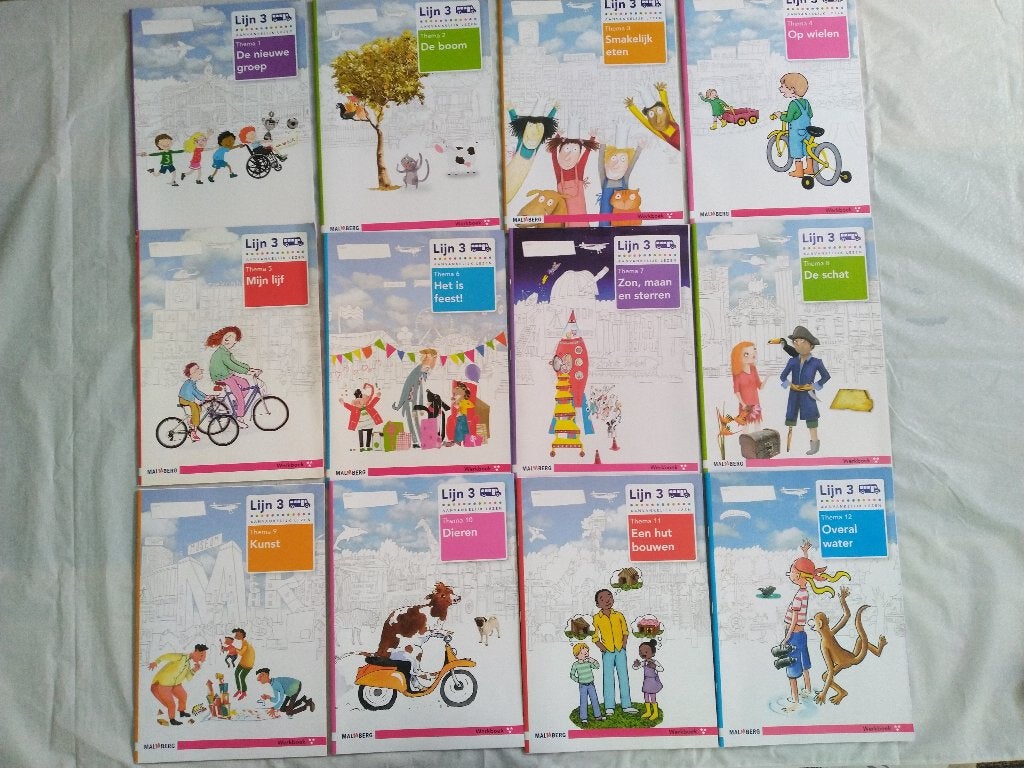 Lijn 3/Werkboek 2 t/m 12 - 3 Sterren OPRUIMEN €2,00 PER STUK, Ophalen of Verzenden, Nieuw, Overige niveaus, Nederlands