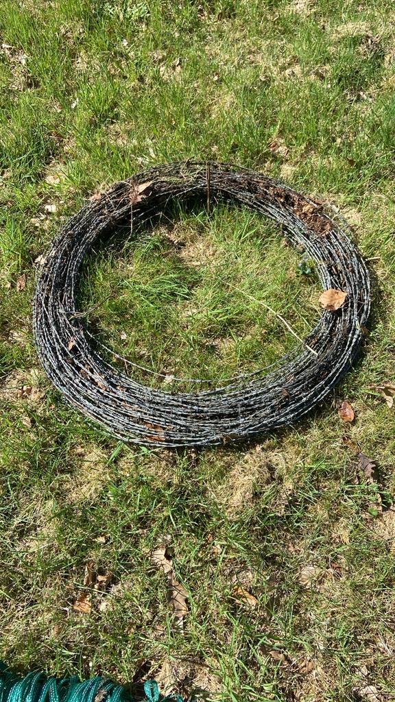 Gebruikt Prikkeldraad - 40 a 50m, Tuin en Terras, Ophalen, Gebruikt, 20 meter of meer, Prikkeldraad