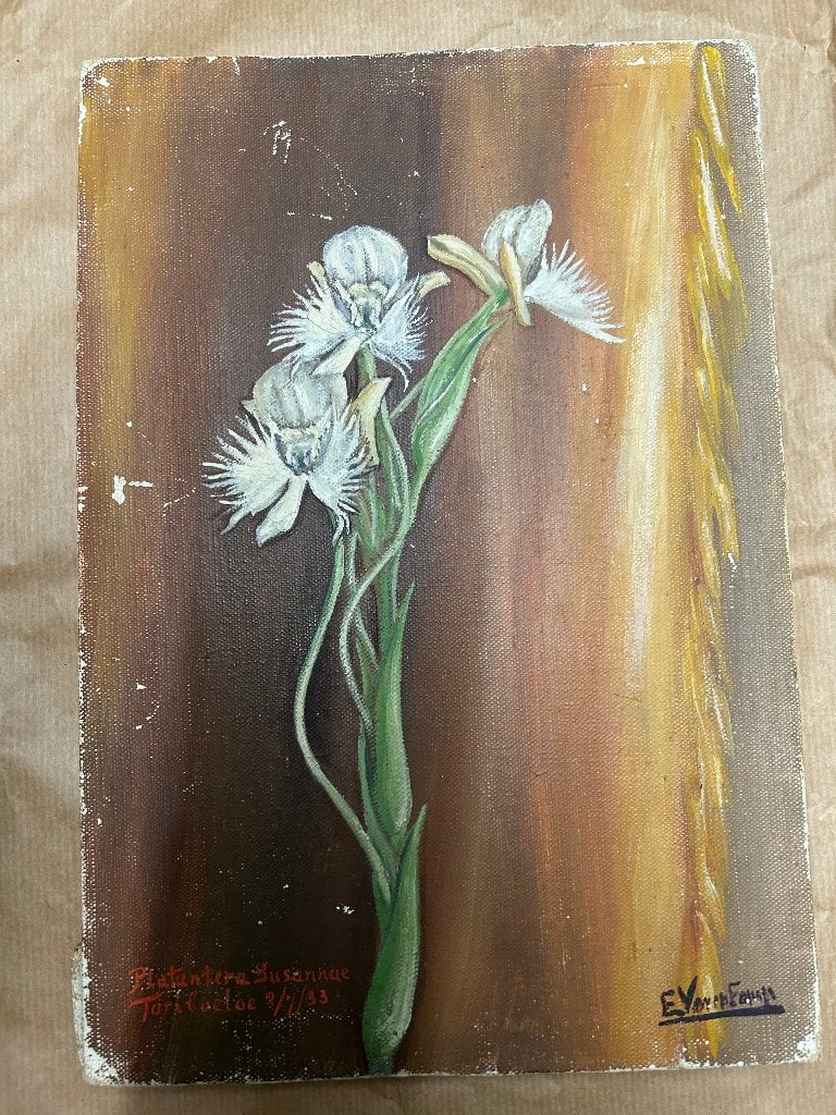 Antieke schilderij Indische kunst Nederlands-Indië 1933, Ophalen