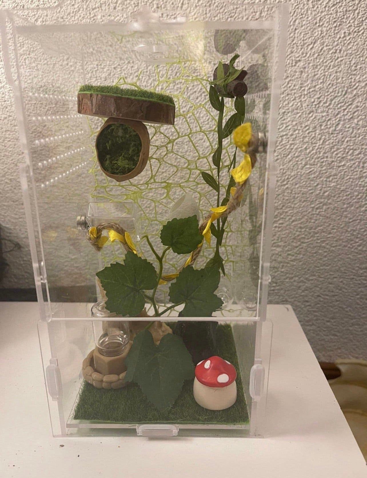 Springspinverbijven, Ophalen of Verzenden