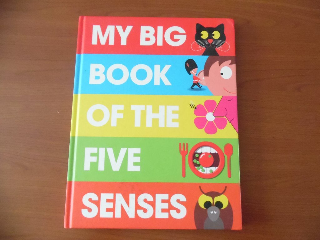 My big book of the five senses - Grappig en Leerzaam -, Ophalen of Verzenden, Zo goed als nieuw, Non-fictie