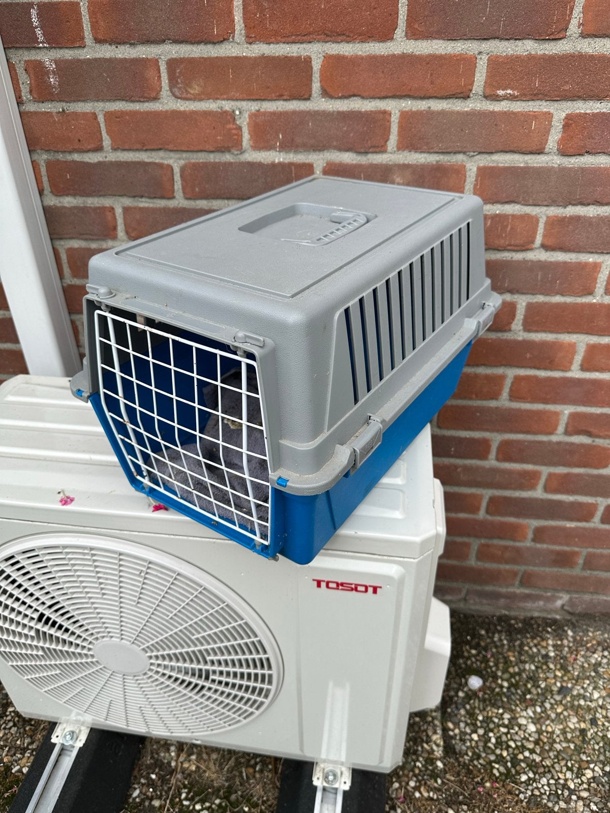 katten reismand. grijs met blauw, Ophalen of Verzenden
