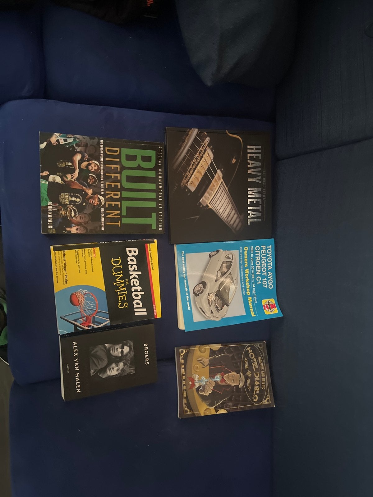 Diverse boeken: sport, muziek, auto's en meer, Ophalen of Verzenden, Gelezen