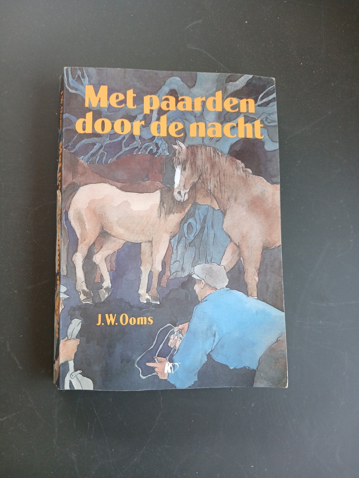 Met paarden door de nacht - J.W. Ooms, Boeken, Ophalen of Verzenden, Gelezen, J.W. Ooms, Fictie algemeen