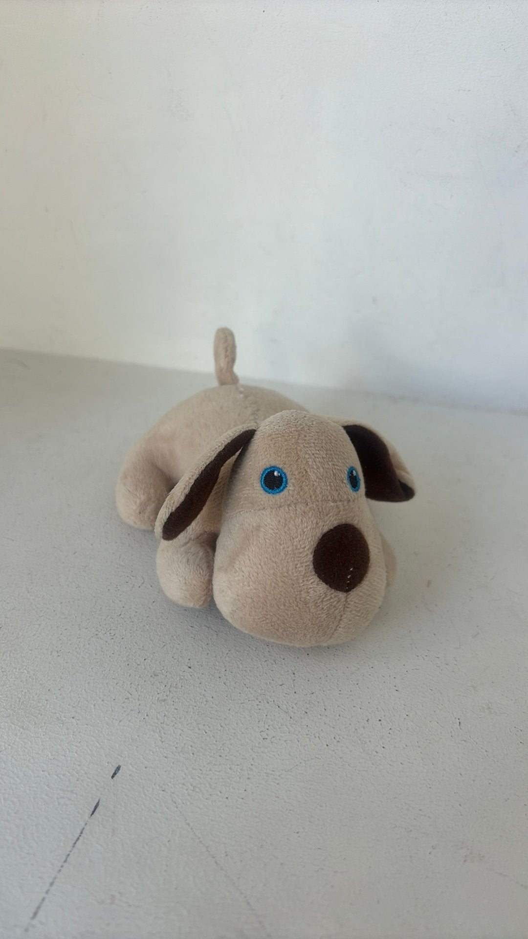Hond knuffel, Ophalen of Verzenden, Zo goed als nieuw, Hond