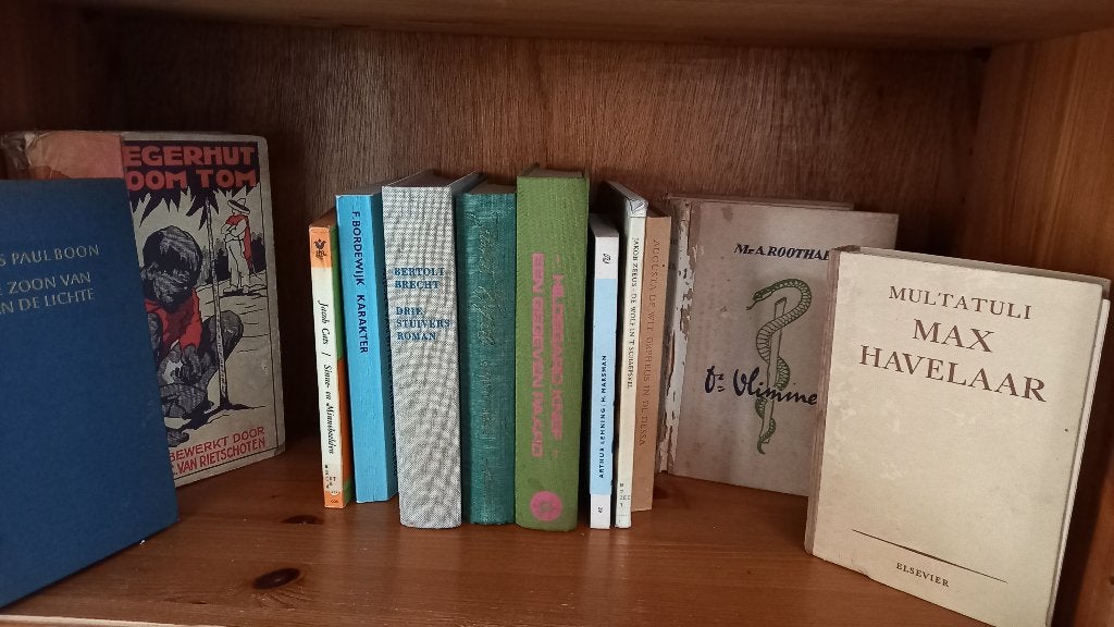 19 boeken / klassiekers uit de NLse en ENGse literatuur, Ophalen of Verzenden, Gelezen, Diverse auteurs, Europa overig