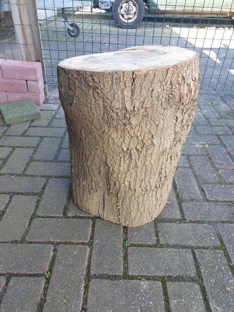 Eiken hakblok/houtblok ongeveer 60 jaar oud hout, Tuin en Terras, Ophalen, Gebruikt, 250 cm of meer, Balken