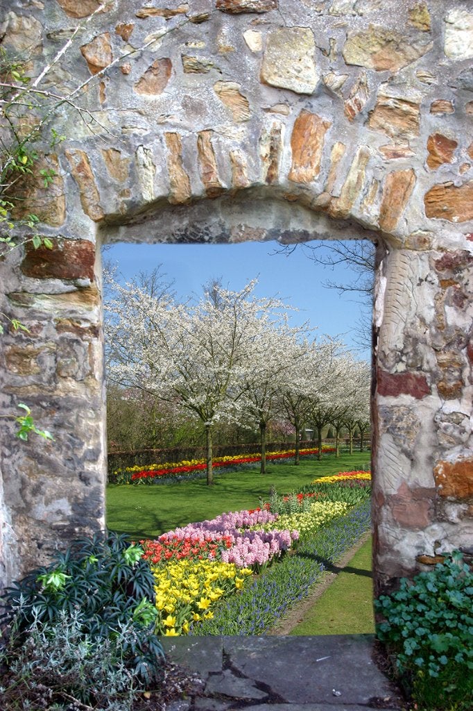 Tuinposter 200 x 133 cm (h x br.), Verzenden, Nieuw