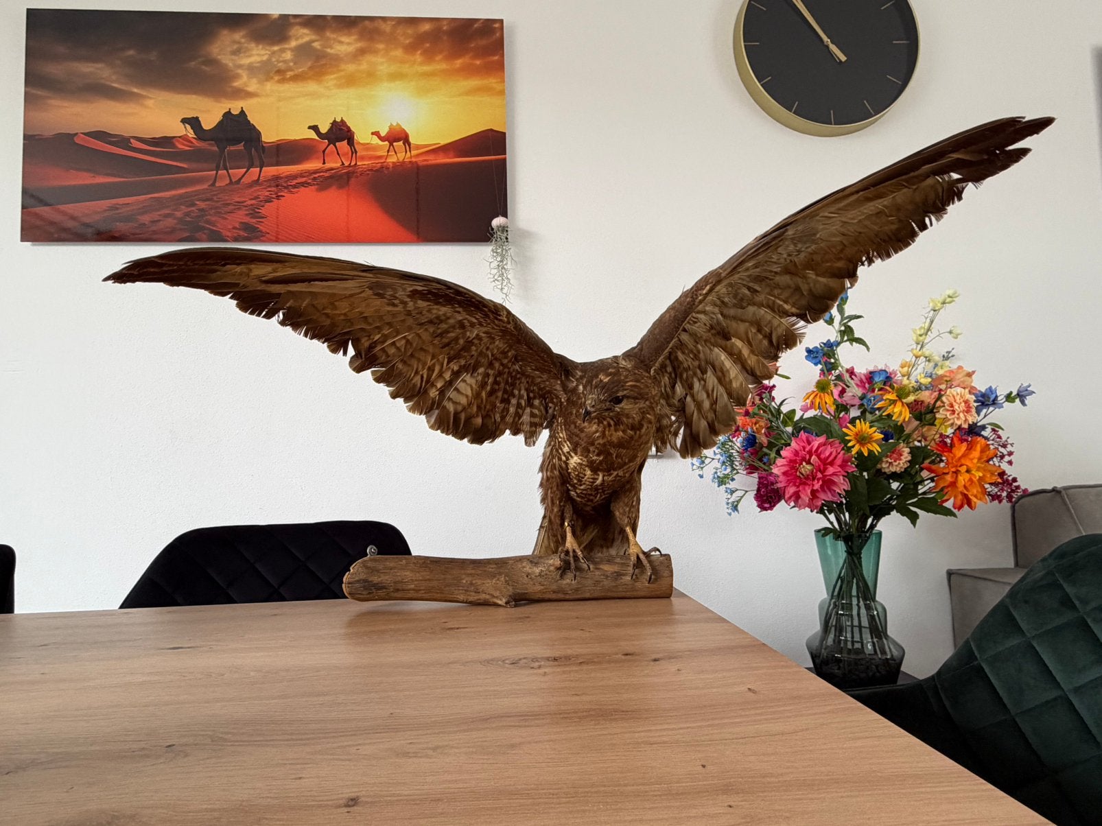 Opgezette roofvogel, Ophalen, Zo goed als nieuw, Vogel, Opgezet dier