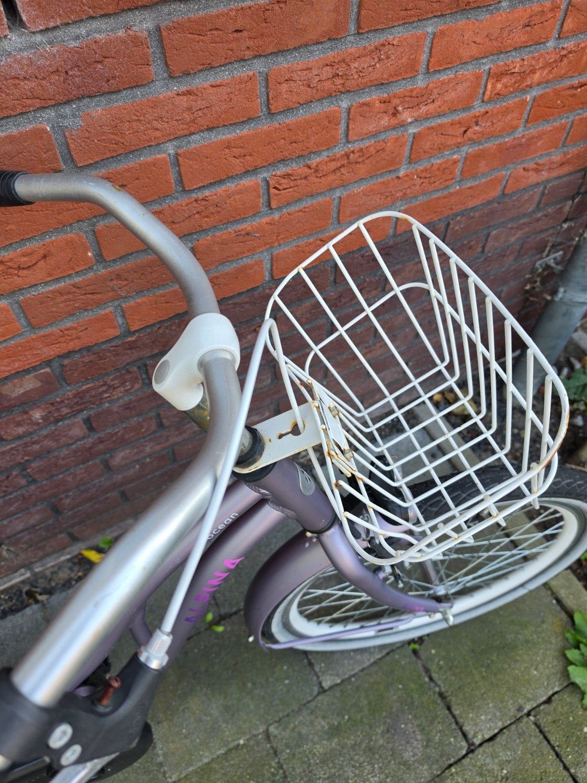 Alpina kinderfiets 20 inch met mandje, Terugtraprem, Gebruikt, Alpina, Ophalen of Verzenden