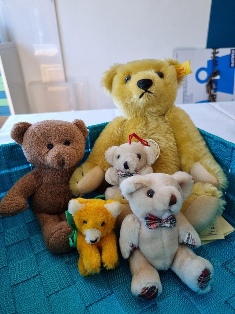 Steiff beer met kleine beertjes, Ophalen of Verzenden, Zo goed als nieuw, Stoffen beer, Steiff