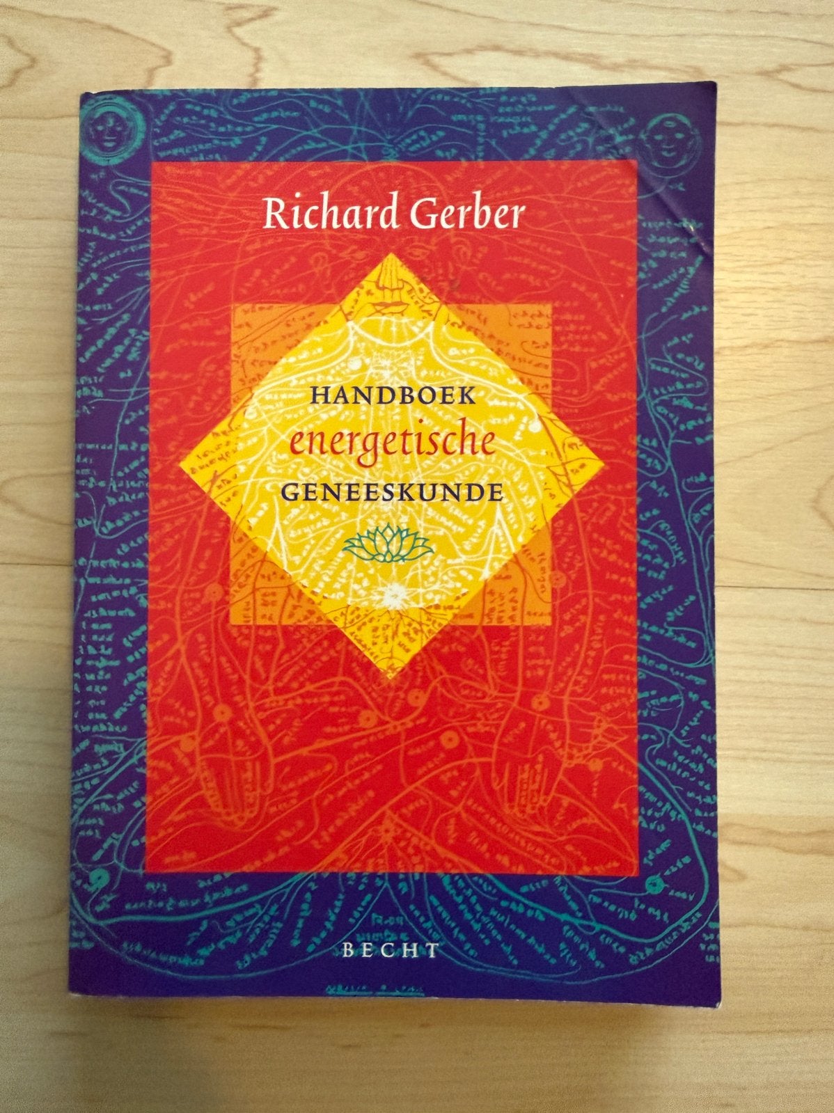 Handboek Energetische Geneeskunde - Richard Gerber, Boeken, Ophalen of Verzenden, Gelezen, Spiritualiteit algemeen, Achtergrond en Informatie