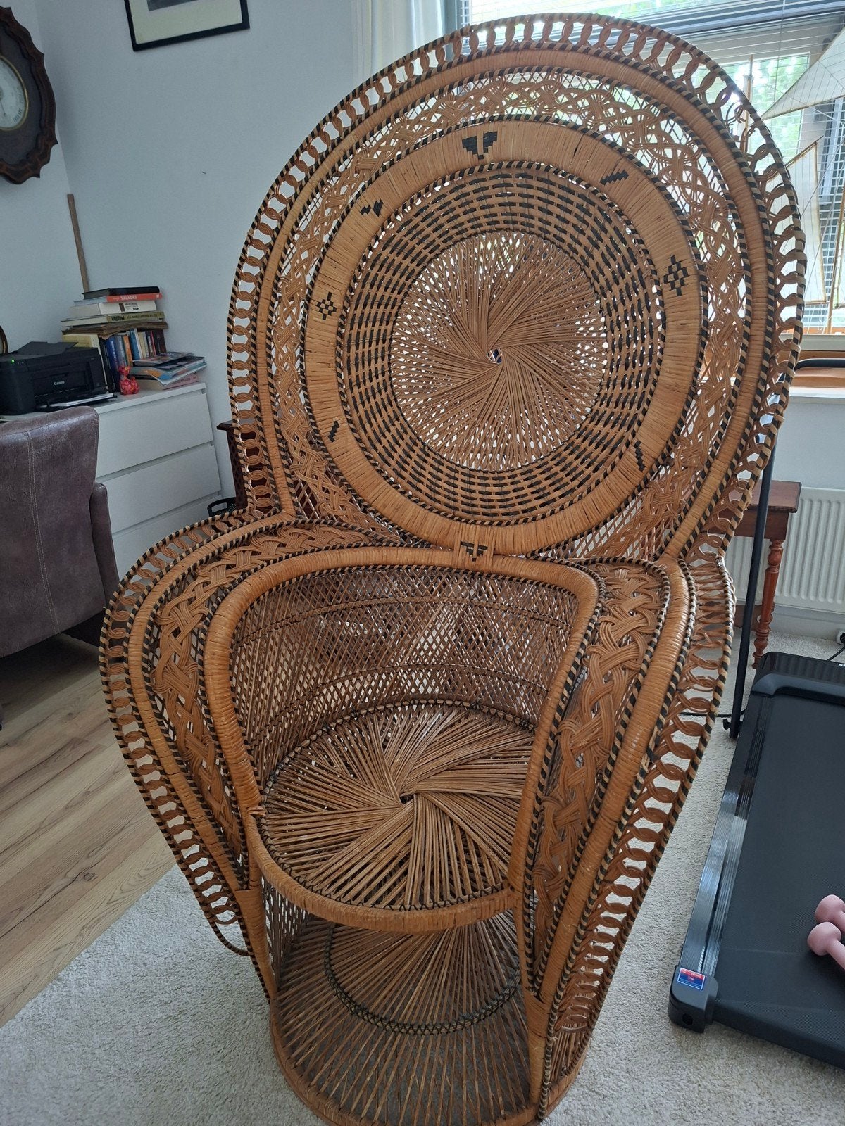 Vintage rotan pauwenstoel - Bohemian chic, Ophalen of Verzenden