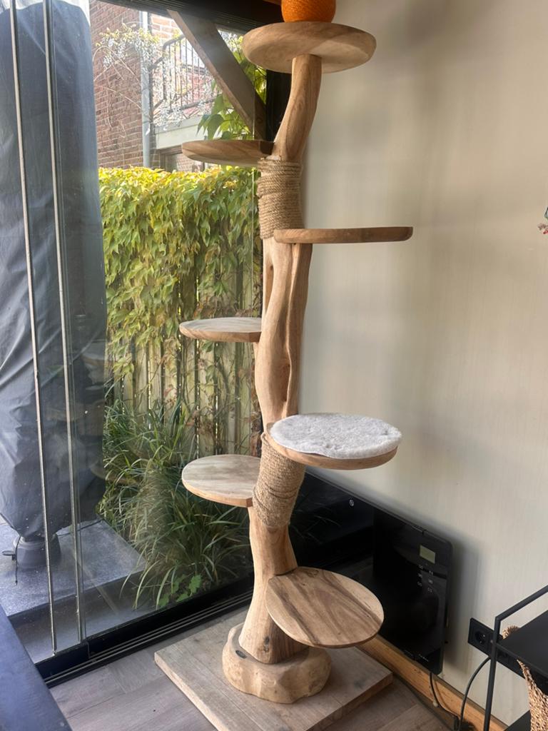 SDB katten kraap paal boomstam, Ophalen, Krabpaal