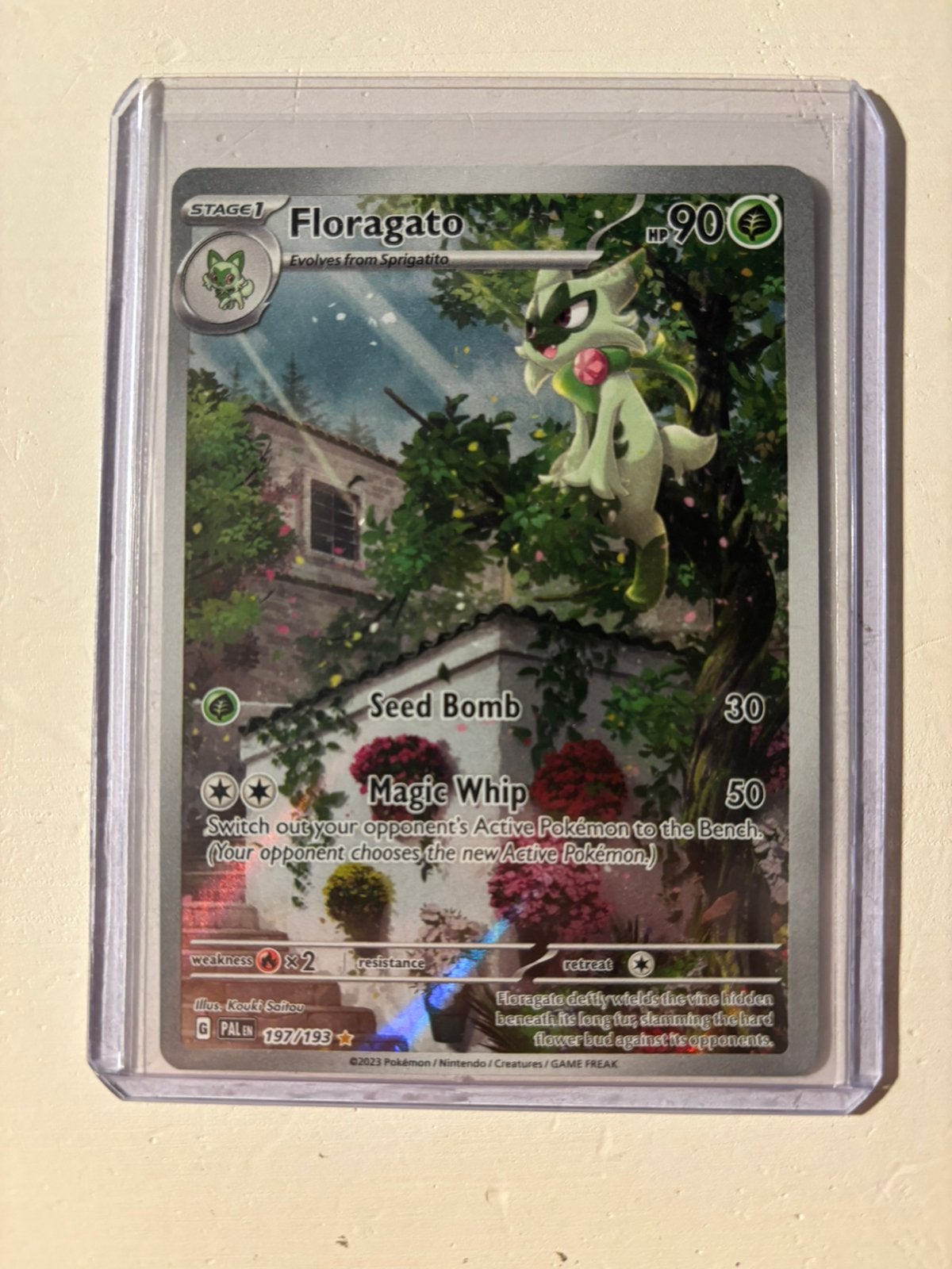 Floragato 197/193, Verzamelen, Ophalen of Verzenden, Zo goed als nieuw, Speelkaart(en)