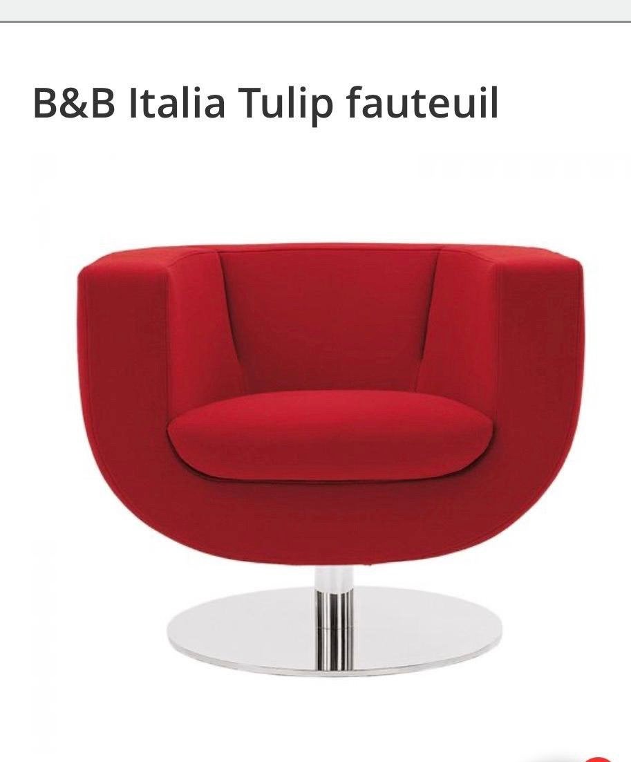 Tulip fauteuil, Ophalen, Zo goed als nieuw, 75 tot 100 cm, 50 tot 75 cm