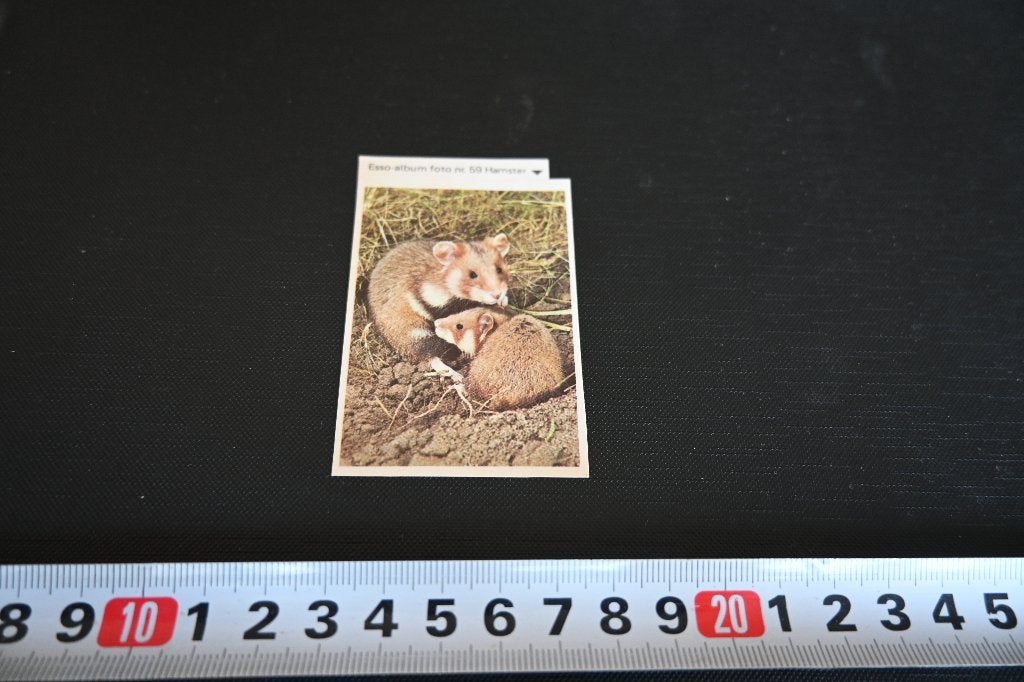 sticker esso dieren #59 hamster, Ophalen of Verzenden, Zo goed als nieuw
