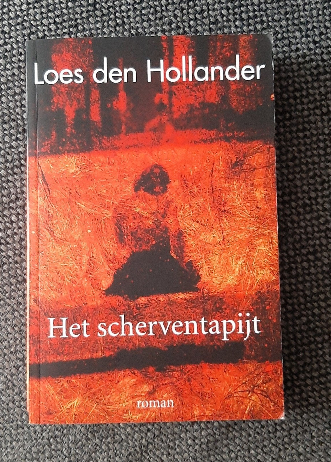 Loes den Hollander - Het scherventapijt, Ophalen of Verzenden, Zo goed als nieuw, Loes den Hollander