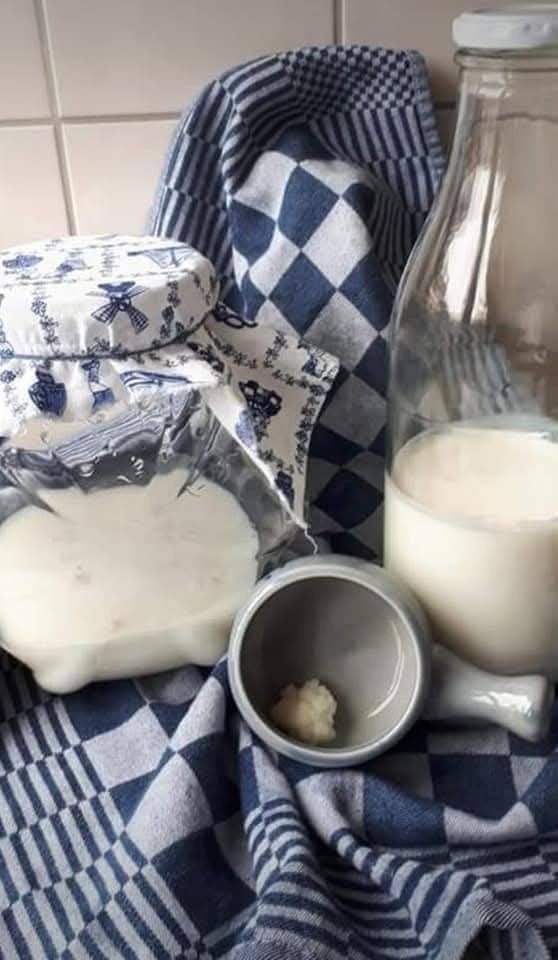Kefirkorrels starter yoghurtplantje) voor zelfgemaakte kefir, Ophalen