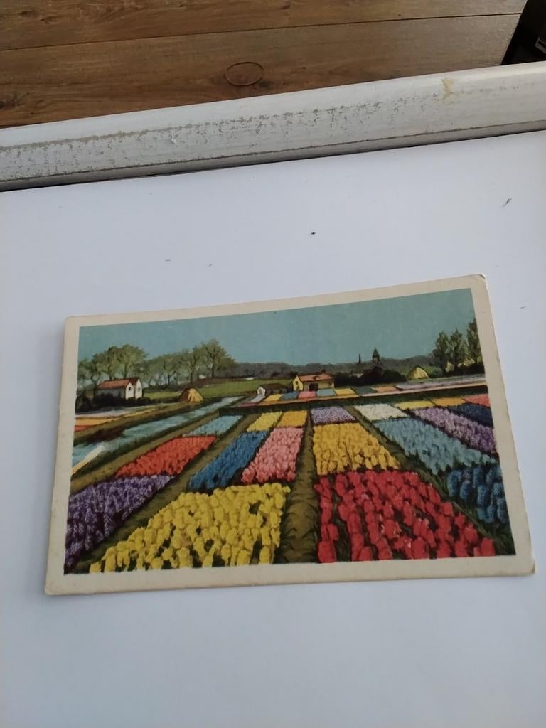 HOLLANDSE. BLOEMBOLLENVELDEN, Ophalen of Verzenden, Voor 1920, Utrecht