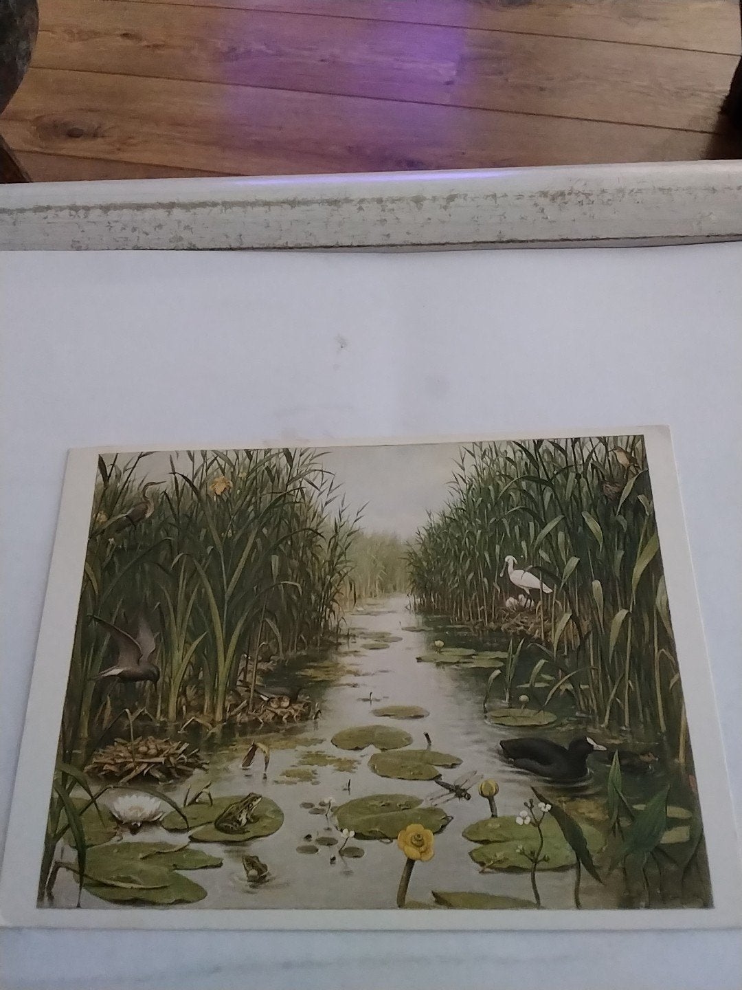Oude ansichtkaart 'Het Naardermeer' - M.A. Koekkoek, Ophalen of Verzenden