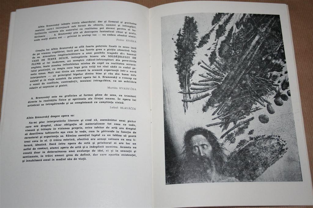 Albin Brunovsky — Grafica — 1983, Ophalen of Verzenden, Gelezen