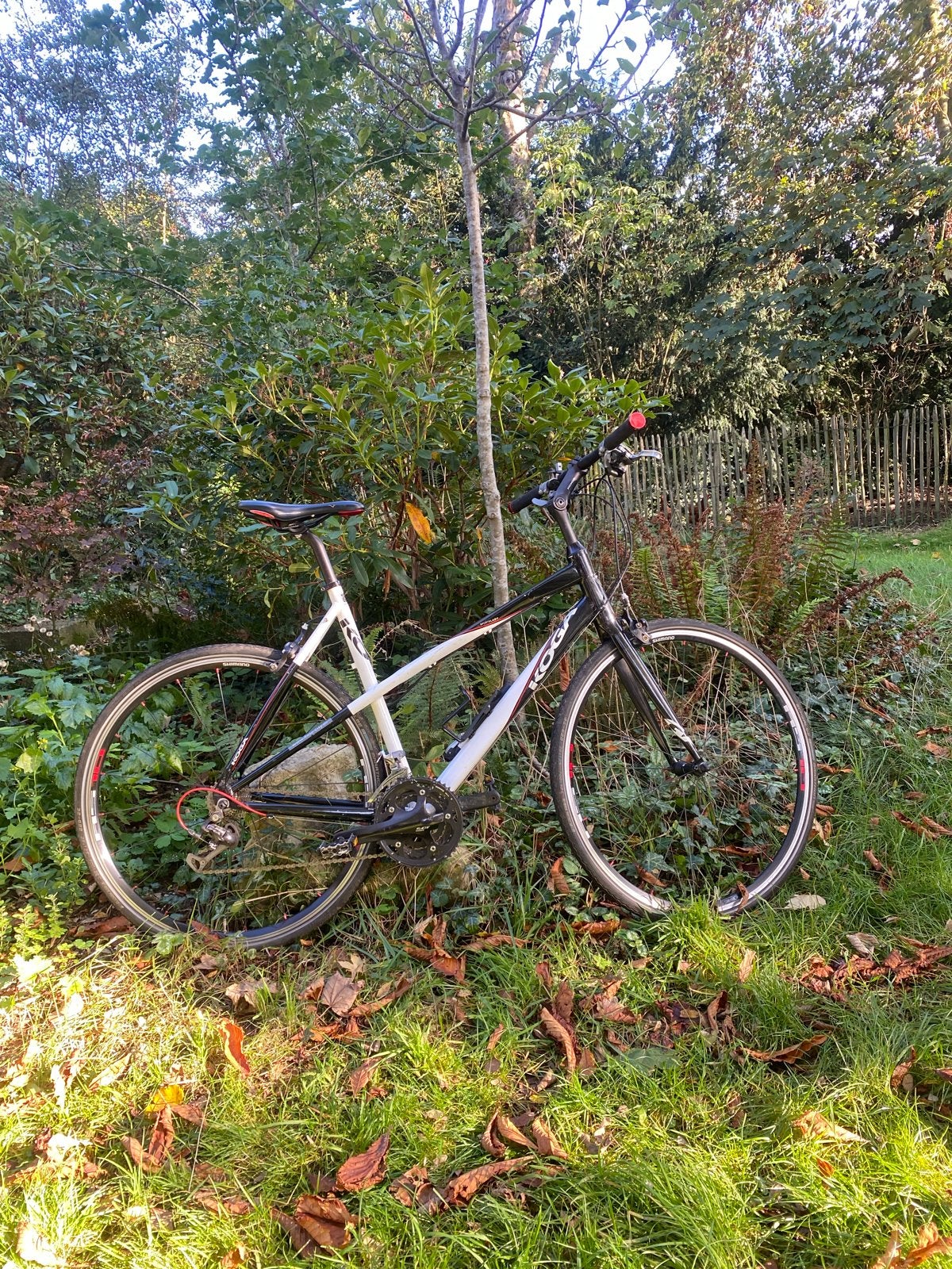 Koga Miyata SportsLady dames sportfiets – Framemaat 56 cm, Fietsen en Brommers, Ophalen, Velgrem, Koga Miyata, Meer dan 20 versnellingen