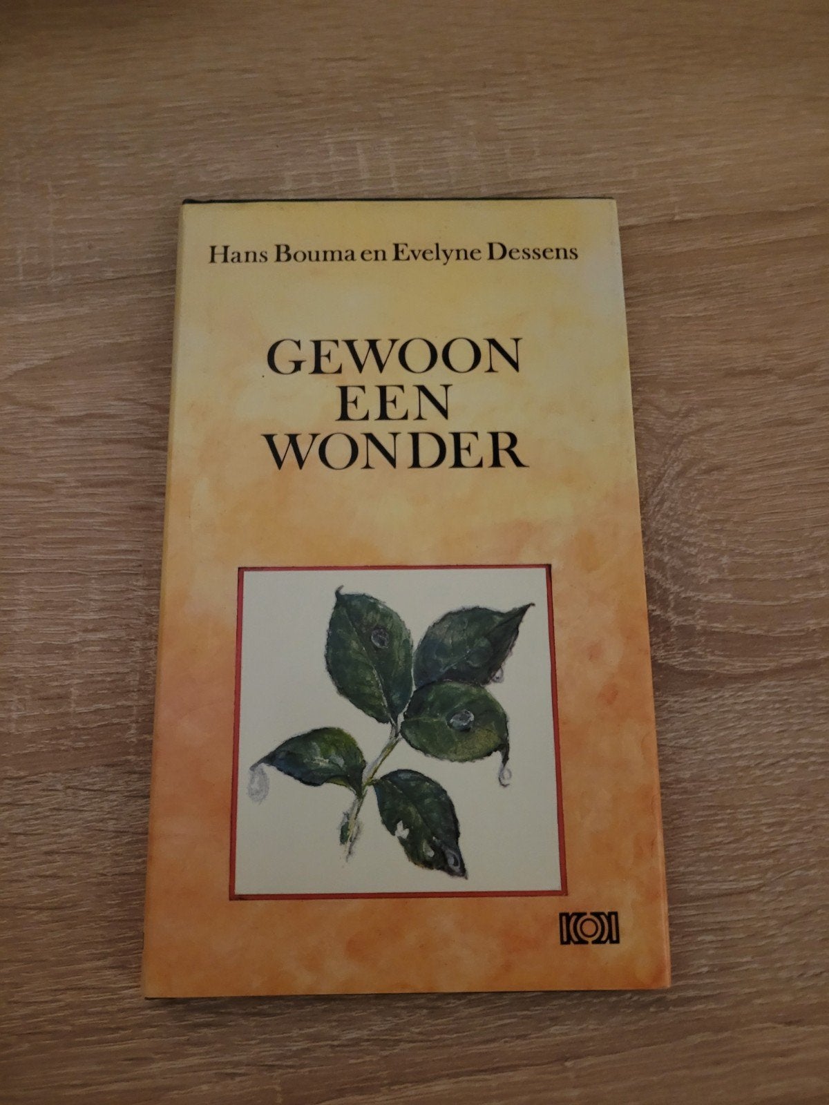 Gewoon een Wonder - Hans Bouma en Evelyne Dessens, Ophalen of Verzenden, Gelezen, Hans Bouma en Evelyne Dessens, Nederland