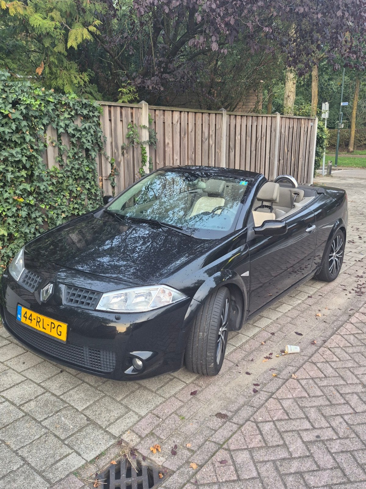 Foto 2 van Renault Mégane 2.0 Turbo 16V 163PK 2005 Zwart