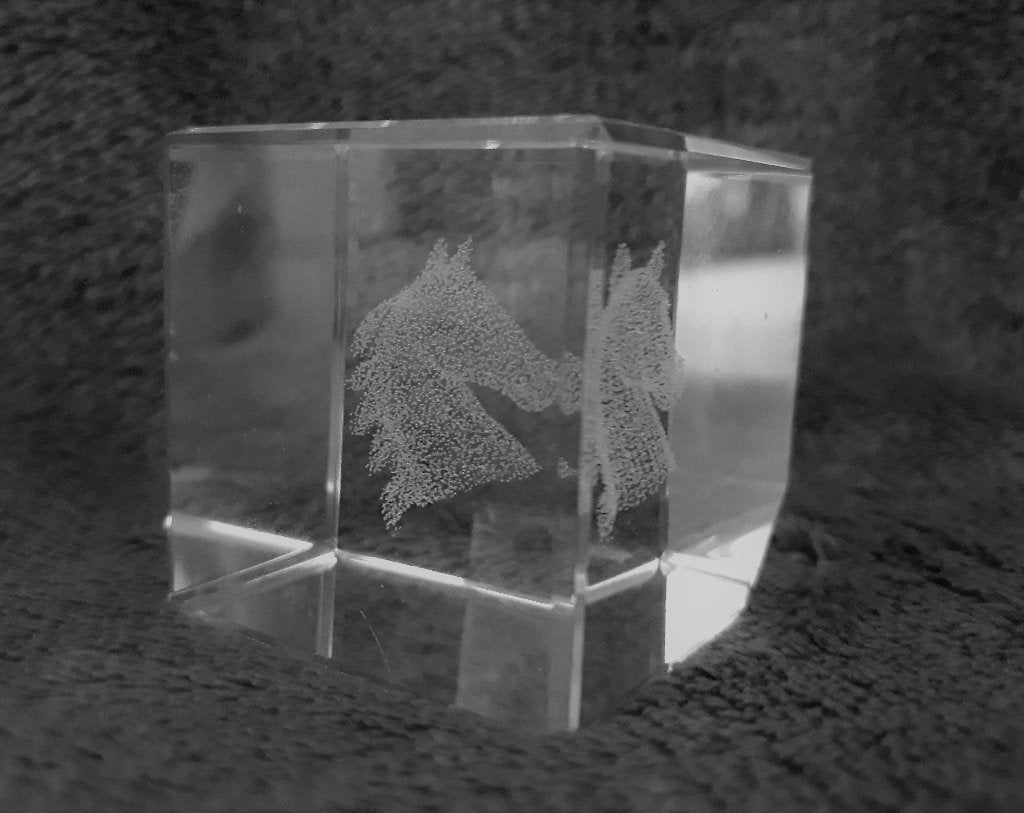 3D Glasblok met lasergravure van paardenhoofd, Huis en Inrichting, Ophalen of Verzenden