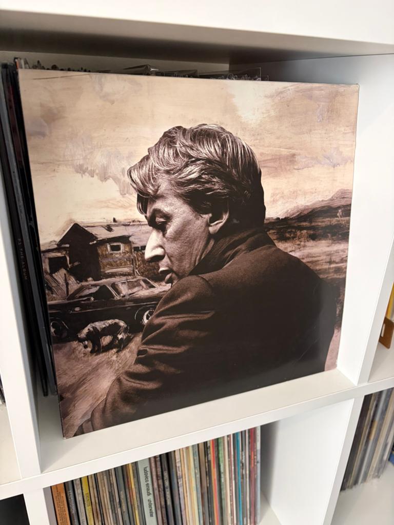 Bashung vinyl, Ophalen of Verzenden, Zo goed als nieuw, 12 inch