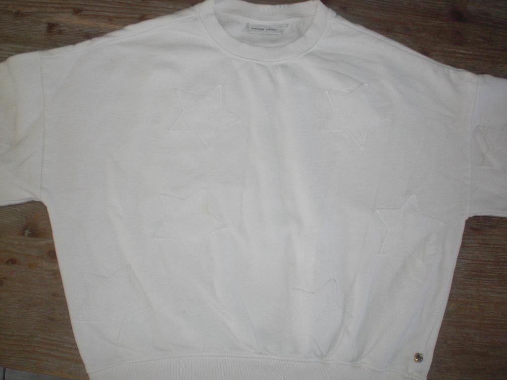 fabienne chapot, sweatshirt xs, Kleding | Dames, Wit, Ophalen of Verzenden, Zo goed als nieuw, Fabienne Chapot