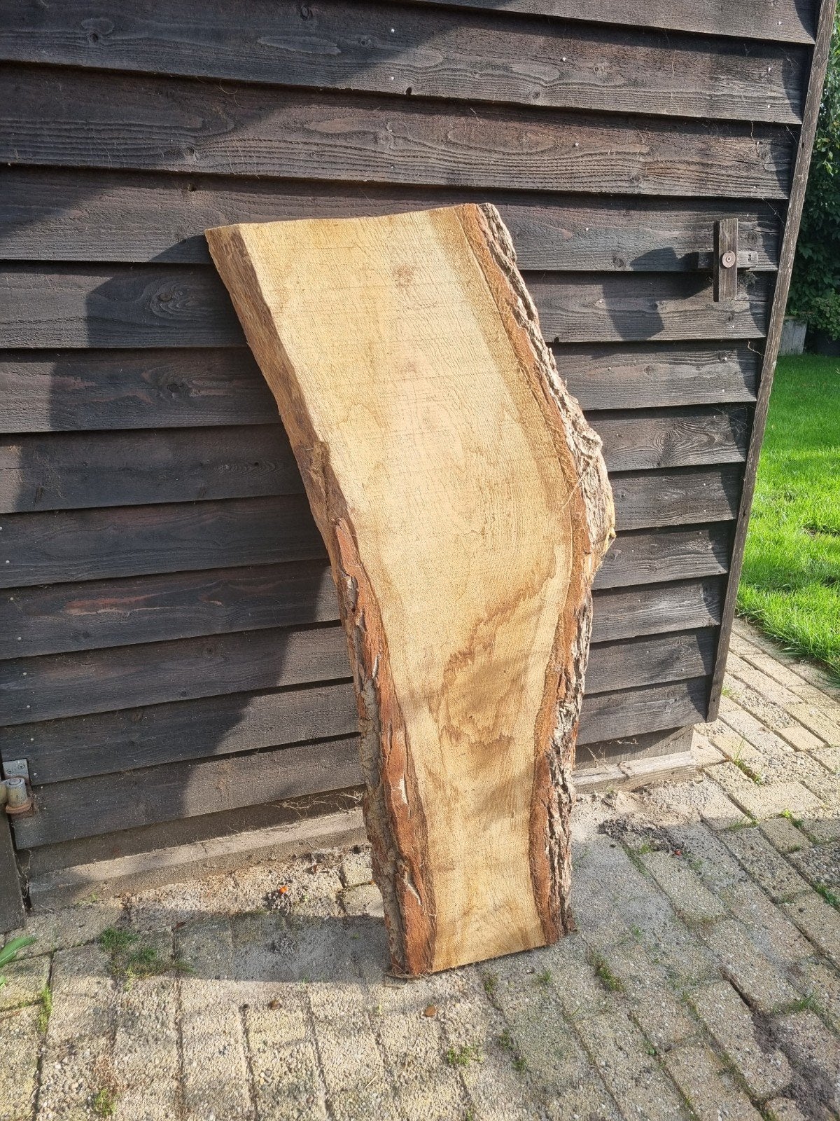 Boomstambladen hele en halve eik en  billinga, Ophalen, 25 tot 50 mm, Eiken, Plank