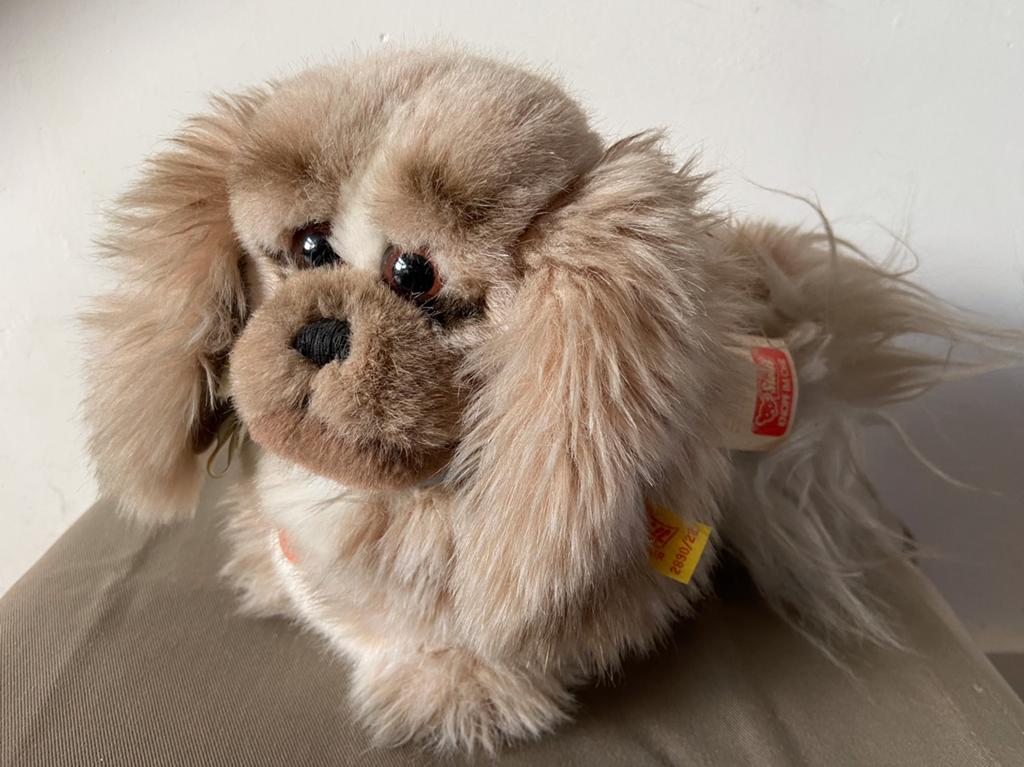 Steiff hond Junior Peky pekinees, 2890/22, Verzamelen, Ophalen of Verzenden, Nieuw, Overige typen, Steiff