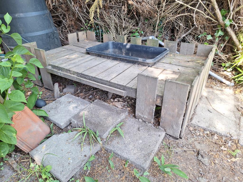 Zwembad met terras voor eenden of andere watervogels, Dieren en Toebehoren, Pluimvee, Meerdere dieren, Eend