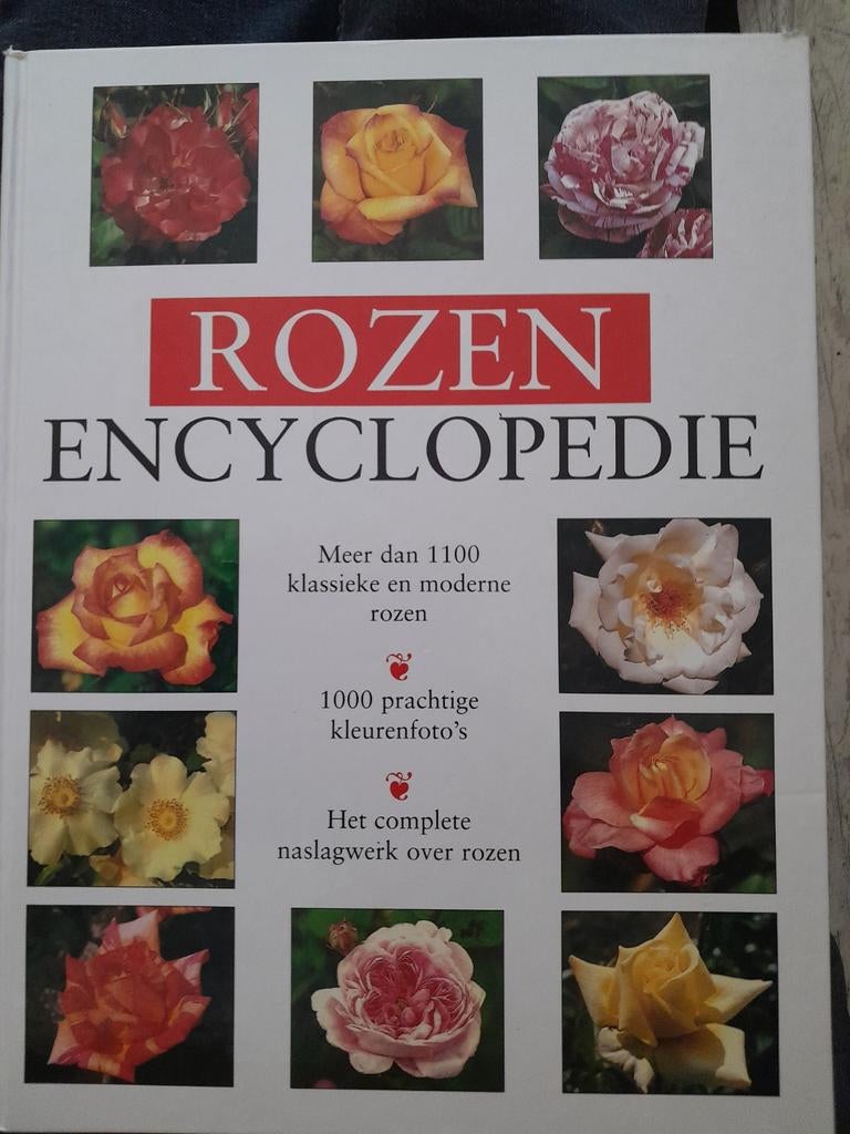 Rozen Encyclopedie: Snoeien, Planten, Ziekten & Soorten, Boeken, Ophalen of Verzenden